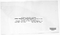 Image Associated With the Occurrence